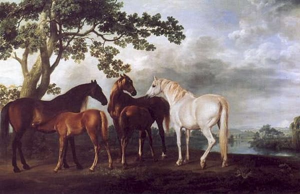 The new horses in Nikola Jokic's stable