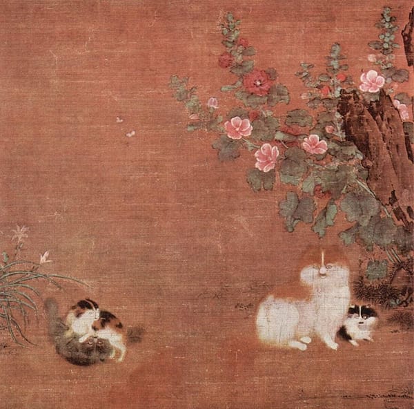 Schroder's cat